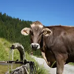 Apartment Haus Helena Sophia Au (Bregenz)