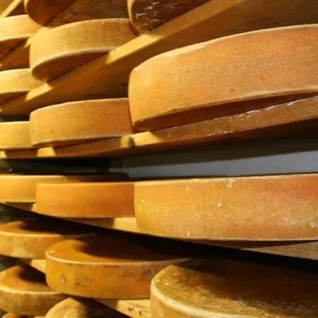 Haus Helena Sophia Apartment Au (Bregenz)