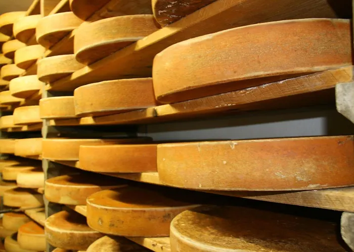 Haus Helena Sophia Apartment Au (Bregenz)