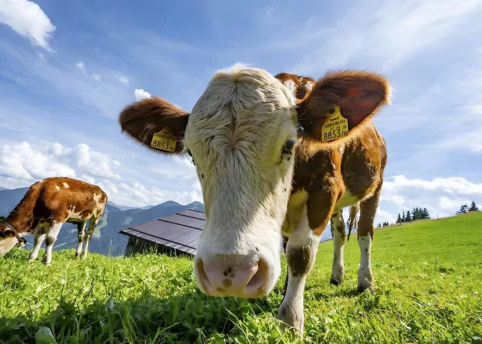 Apartment Haus Helena Sophia *